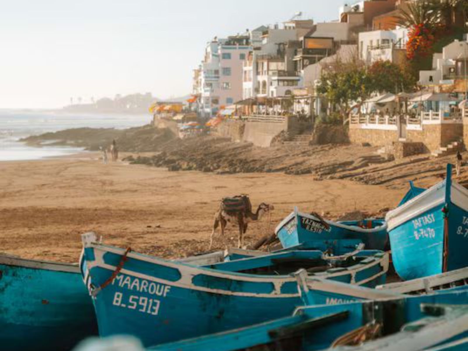 Rondreis Marokko, Taghazout, Radisson Blu Resort Taghazout Bay Surf, omgeving rond Taghazout